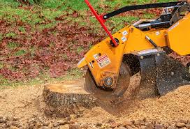 Best Aeration Services  in Plymouth, WI